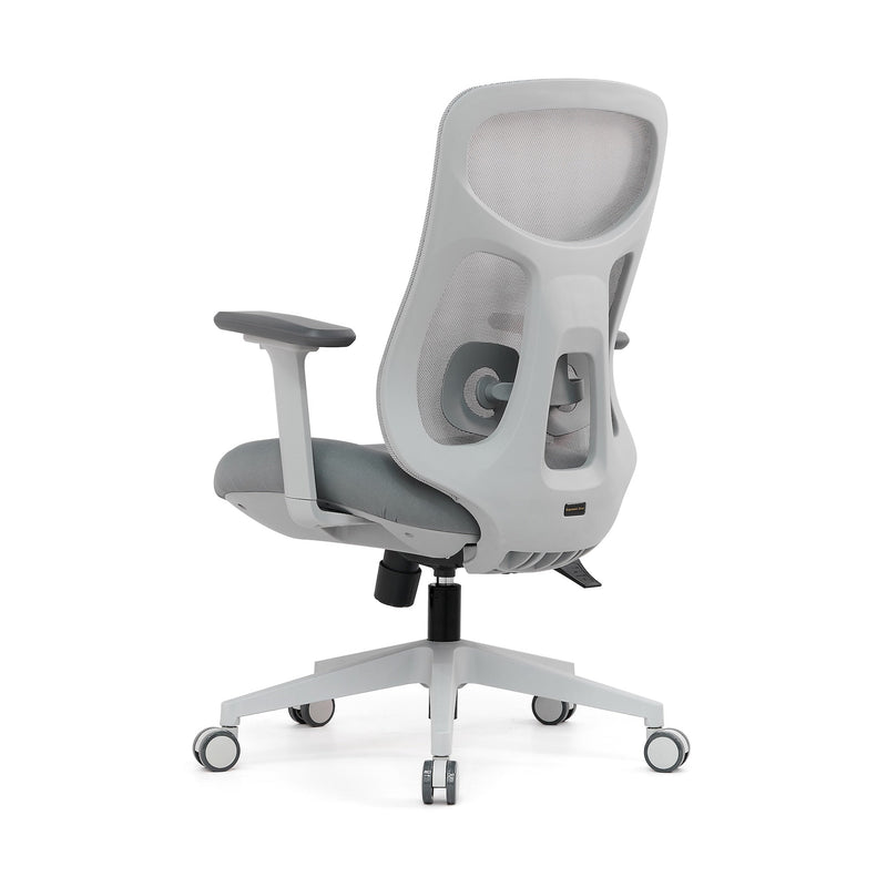 Ergonomic Office Chair