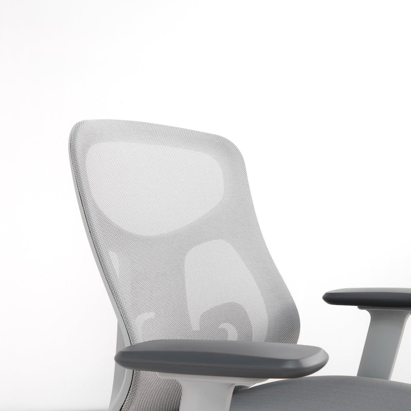 Ergonomic Office Chair